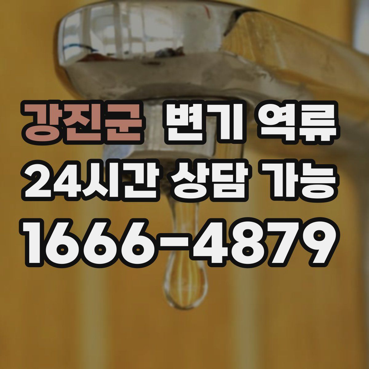 강진군 변기 역류