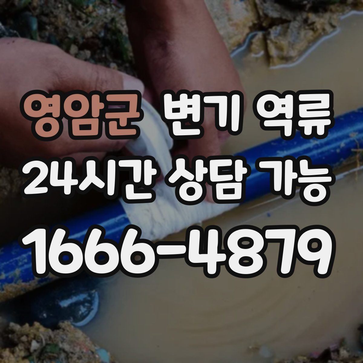 영암군 변기 역류 어린이·반려동물 접근을 막아야 하는 이유