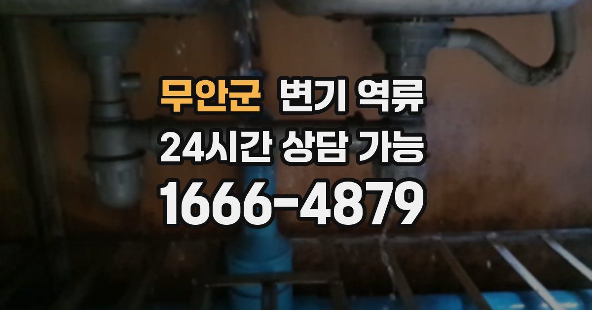 무안군 변기 역류