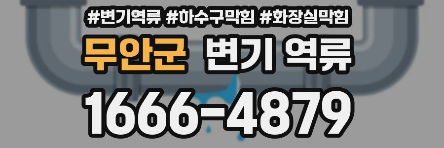 무안군 변기 역류