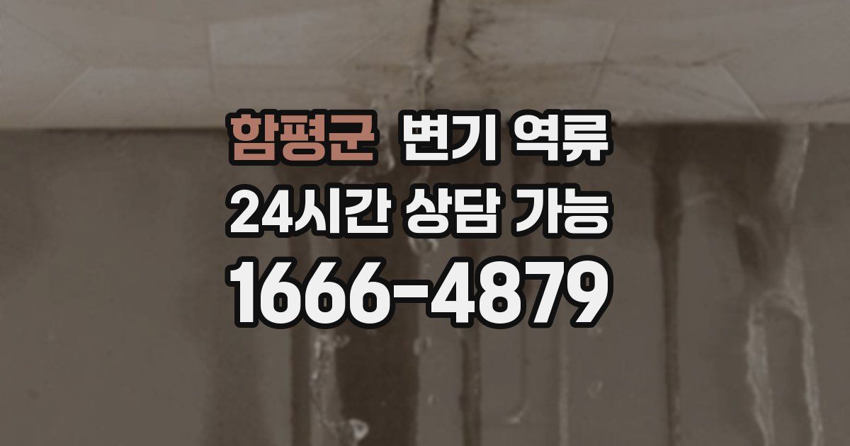 함평군 변기 역류