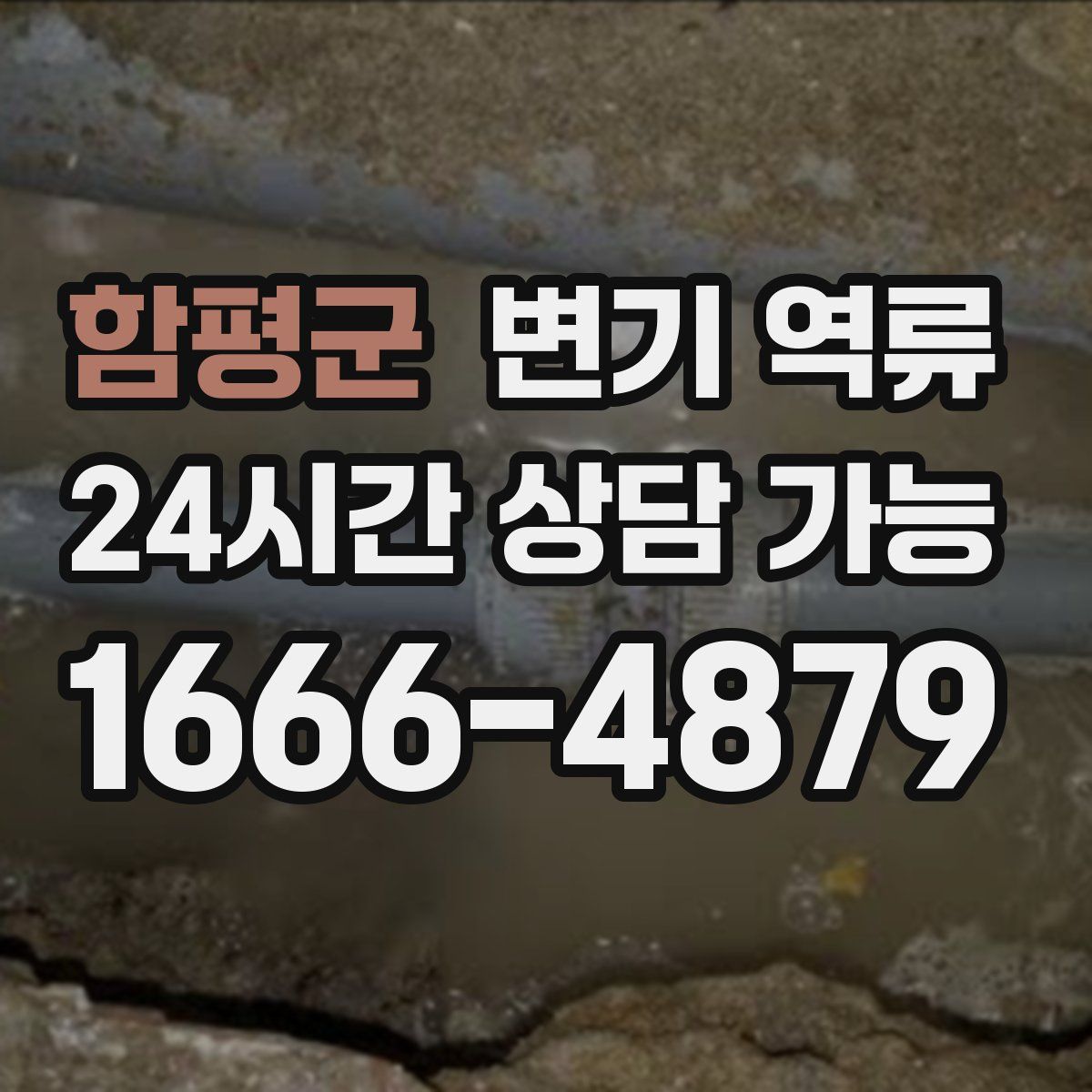 함평군 변기 역류