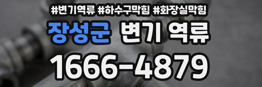 장성군 변기 역류