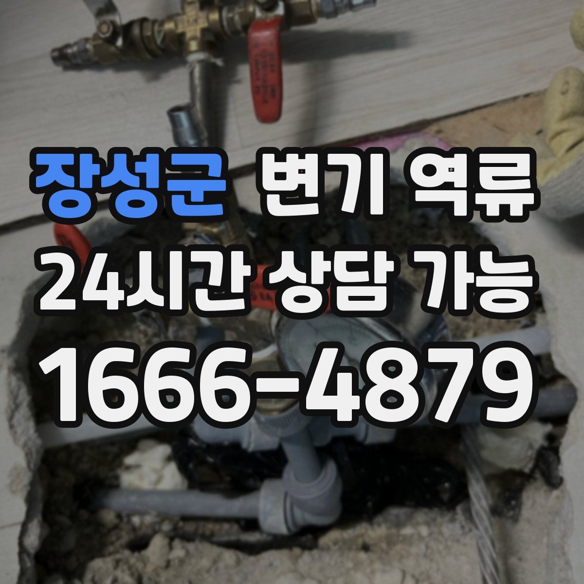 장성군 변기 역류