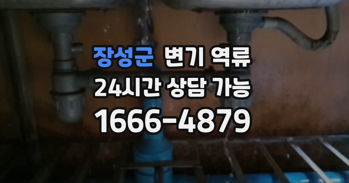 장성군 변기 역류