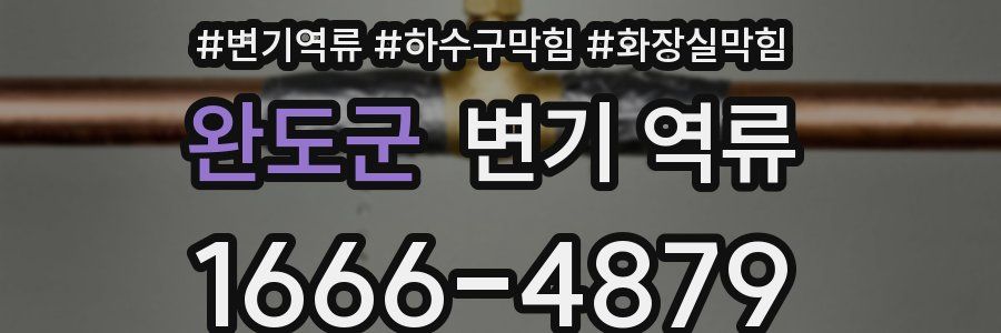 완도군 변기 역류