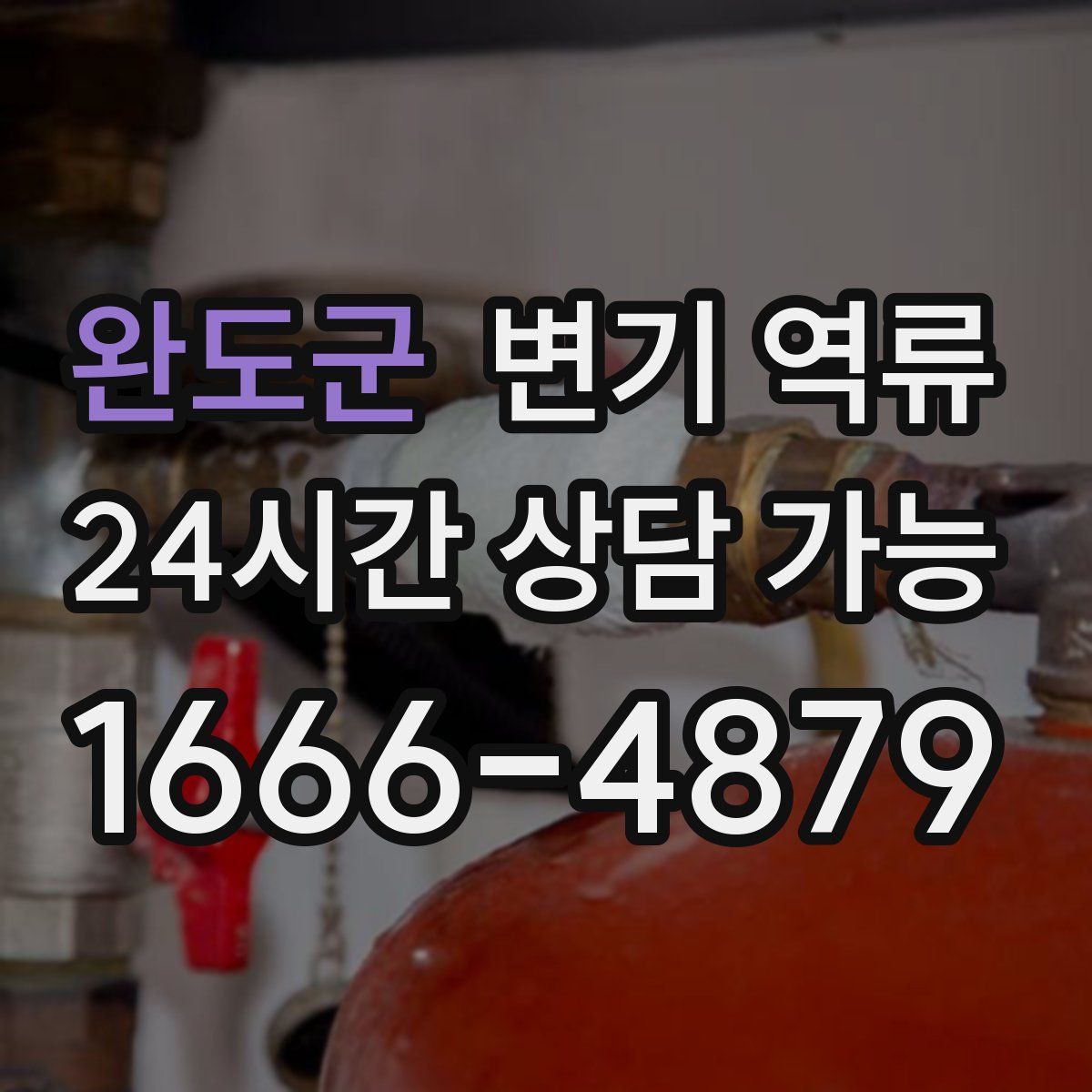 완도군 변기 역류