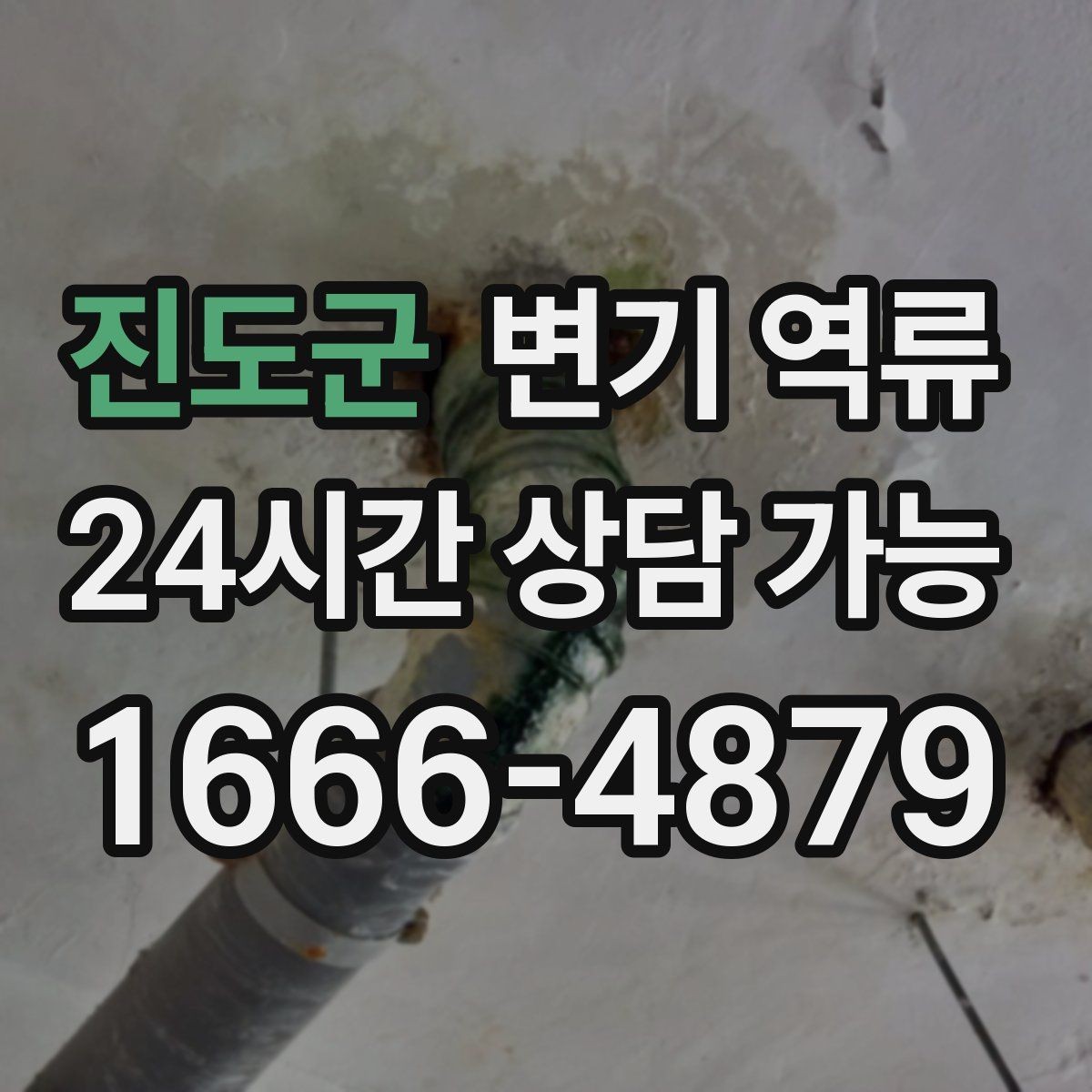진도군 변기 역류 변기 교체 후에도 발생한다면 무엇을 볼까