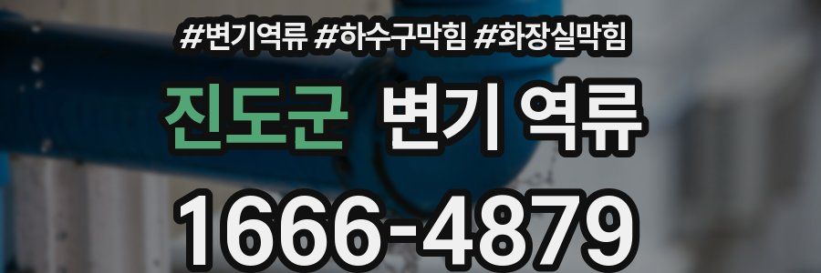 진도군 변기 역류