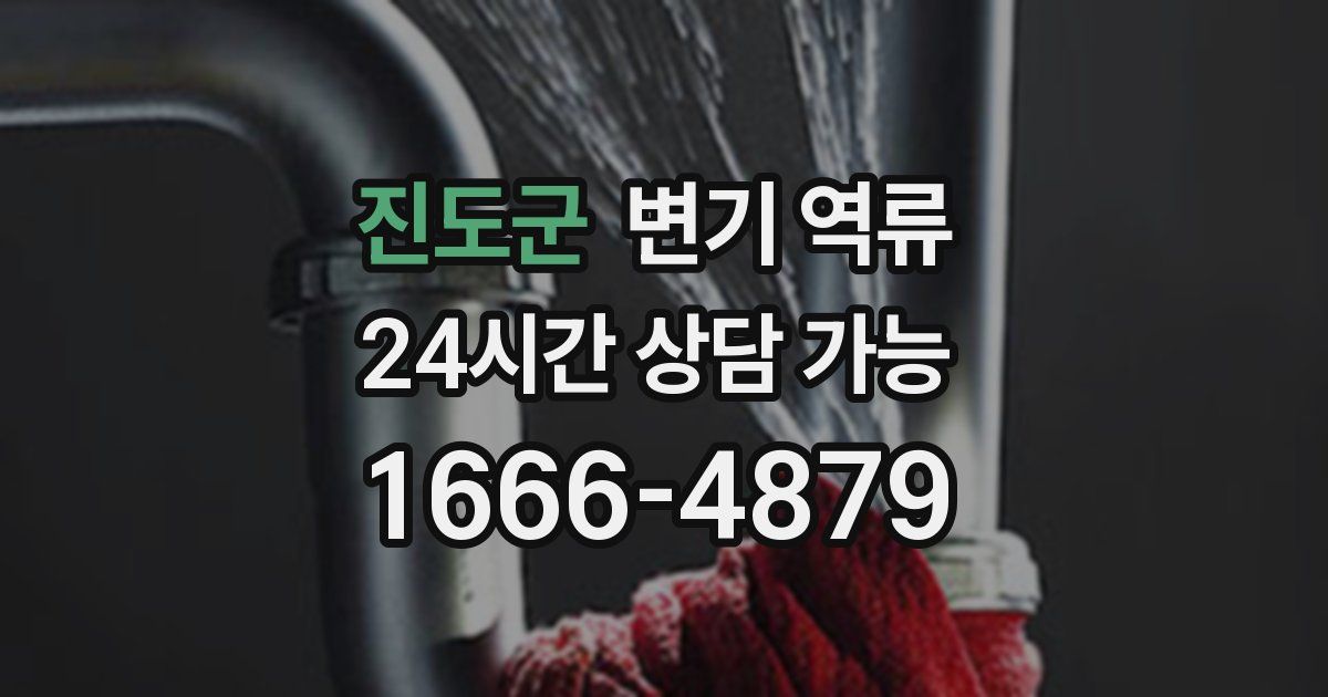 진도군 변기 역류