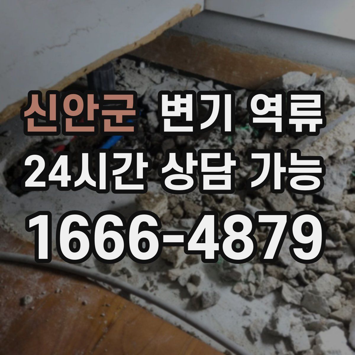 신안군 변기 역류