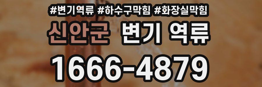 신안군 변기 역류