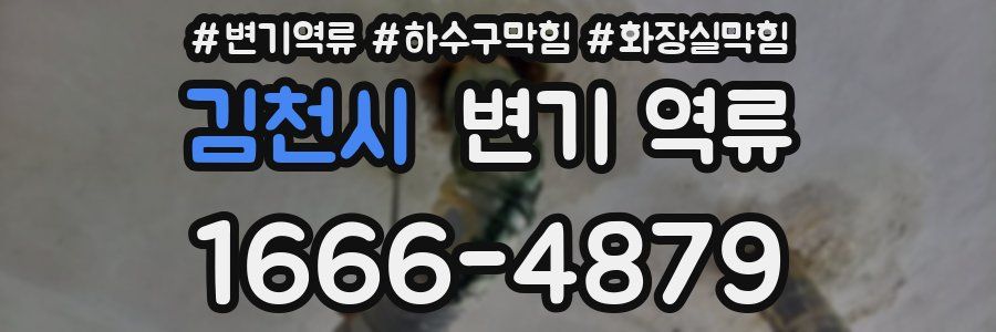 김천시 변기 역류