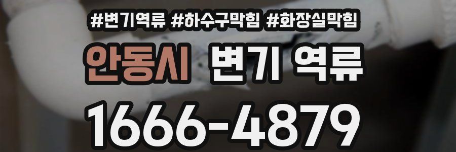 안동시 변기 역류