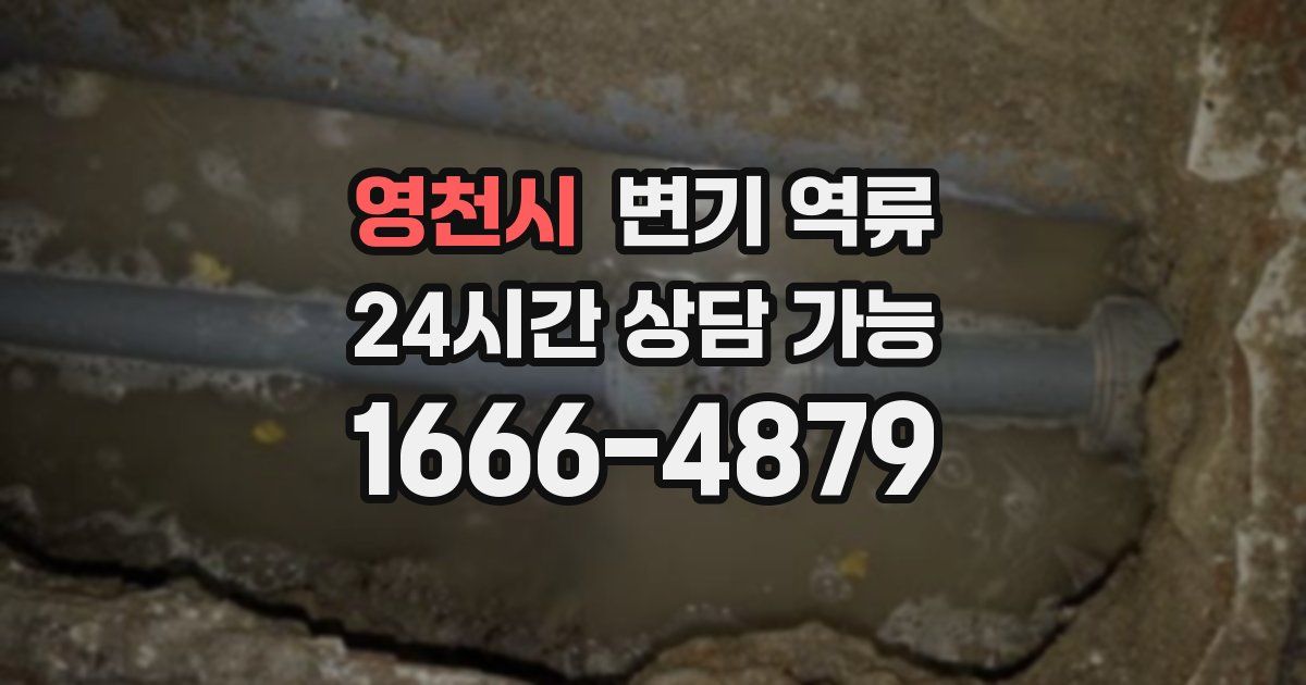 영천시 변기 역류