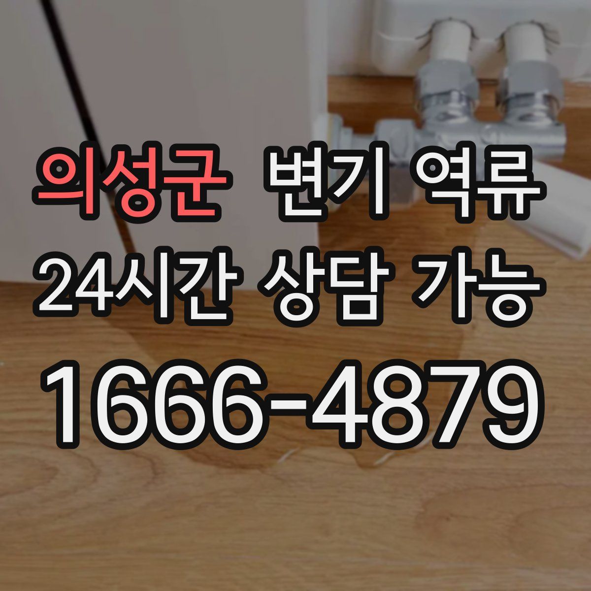 의성군 변기 역류