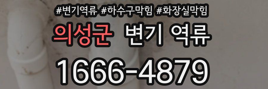 의성군 변기 역류