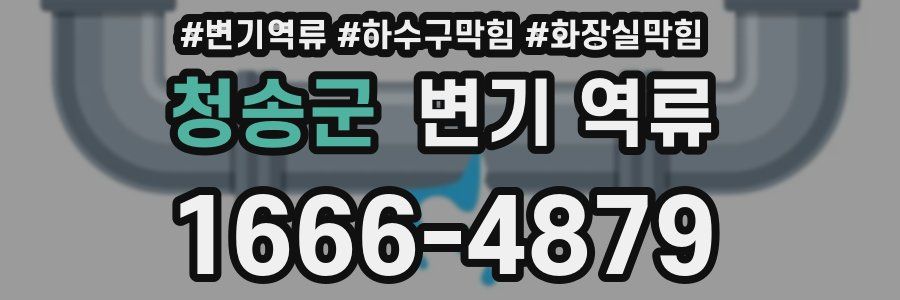 청송군 변기 역류