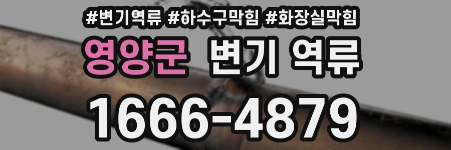 영양군 변기 역류