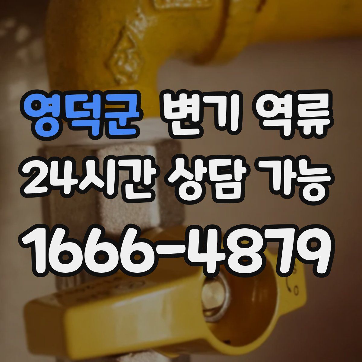 영덕군 변기 역류