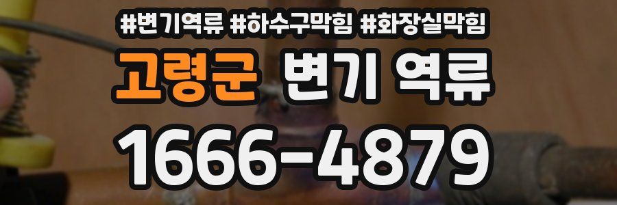 고령군 변기 역류