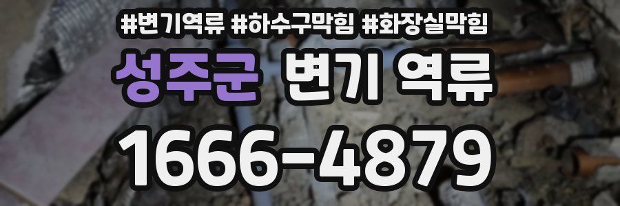 성주군 변기 역류