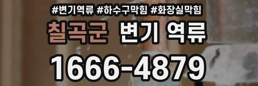 칠곡군 변기 역류