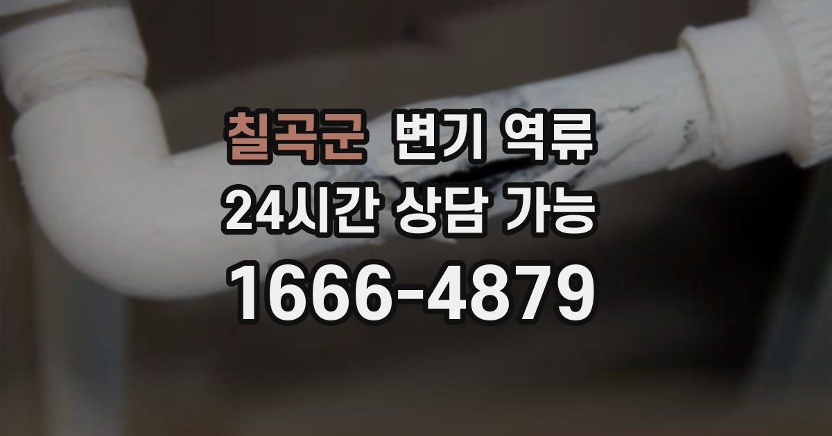 칠곡군 변기 역류