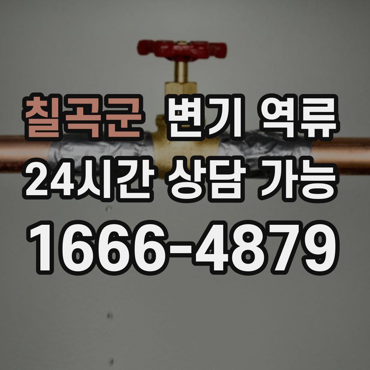 칠곡군 변기 역류