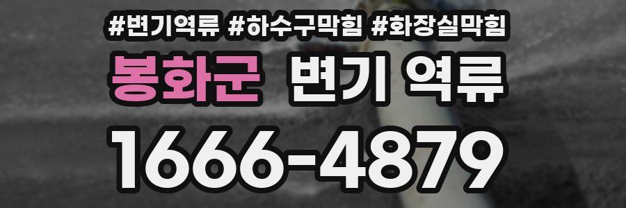 봉화군 변기 역류