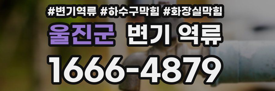 울진군 변기 역류