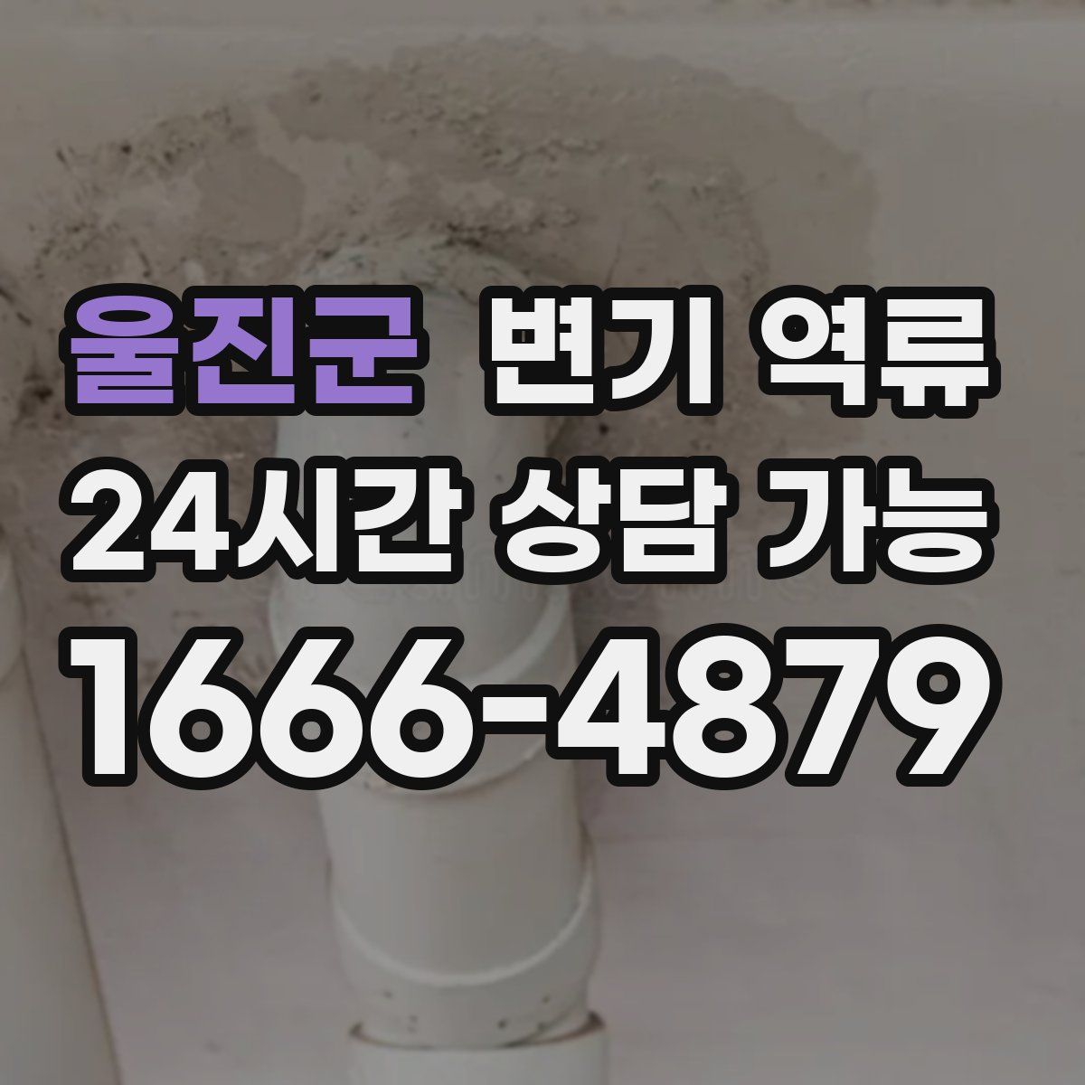 울진군 변기 역류