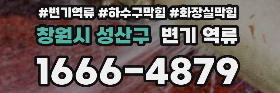 창원시 성산구 변기 역류