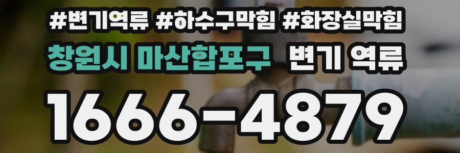 창원시 마산합포구 변기 역류