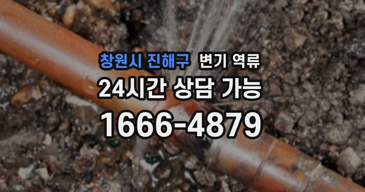 창원시 진해구 변기 역류