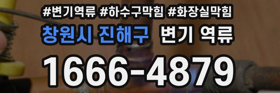 창원시 진해구 변기 역류