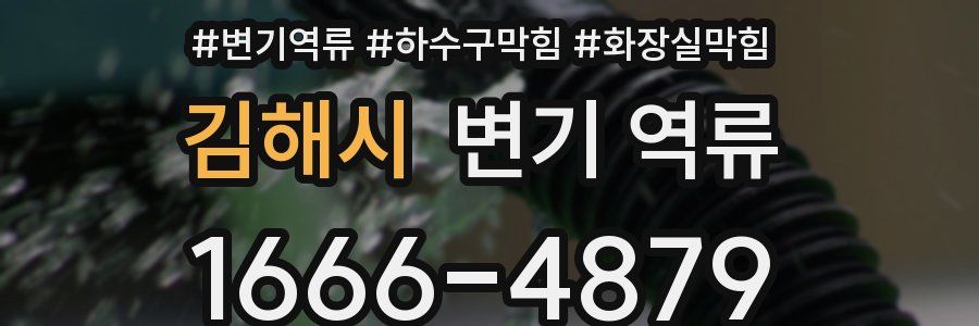 김해시 변기 역류