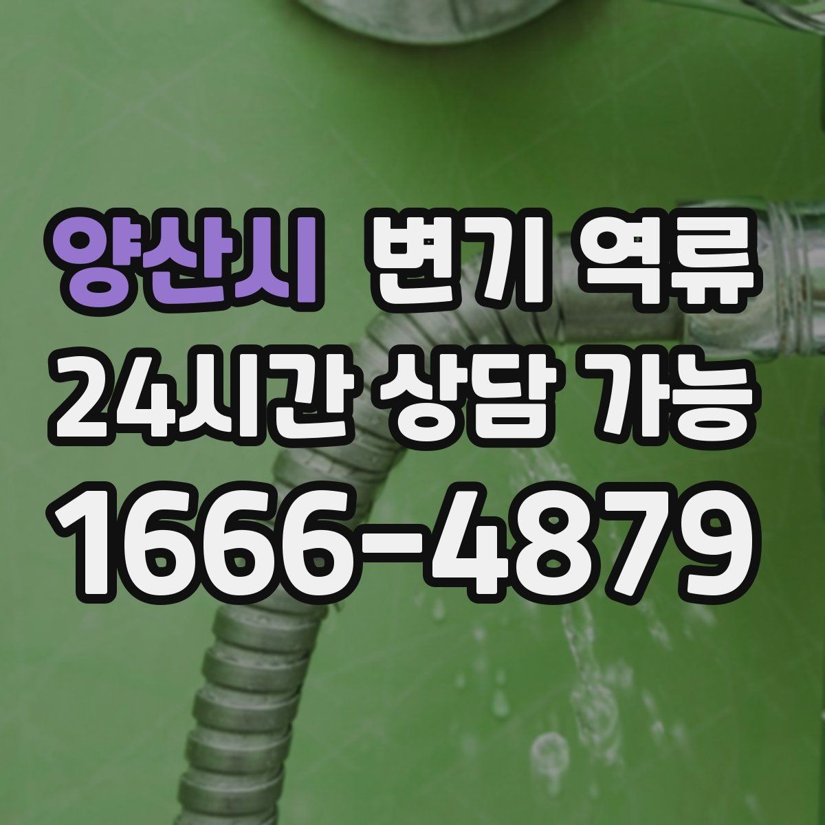 양산시 변기 역류 게스트하우스·숙박업소 예방 포인트