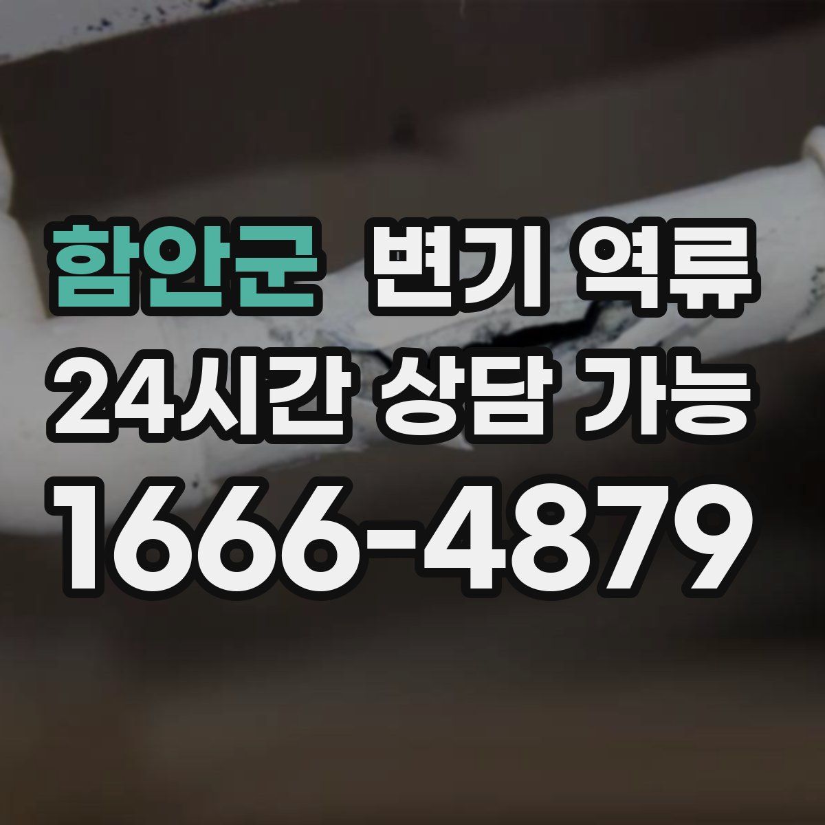 함안군 변기 역류