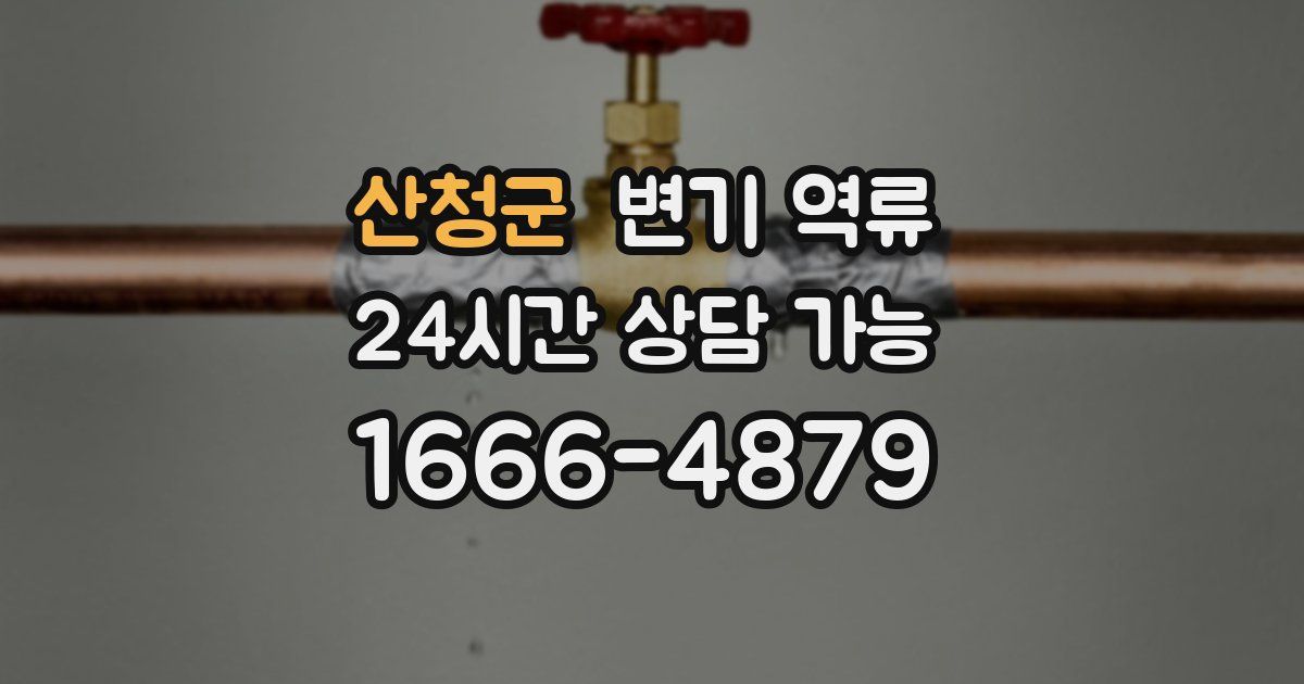 산청군 변기 역류