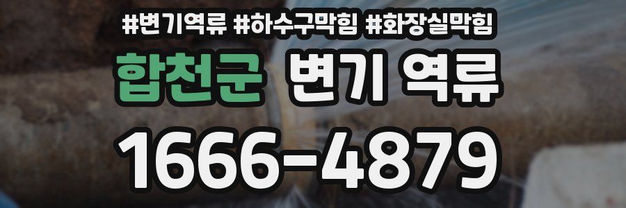 합천군 변기 역류