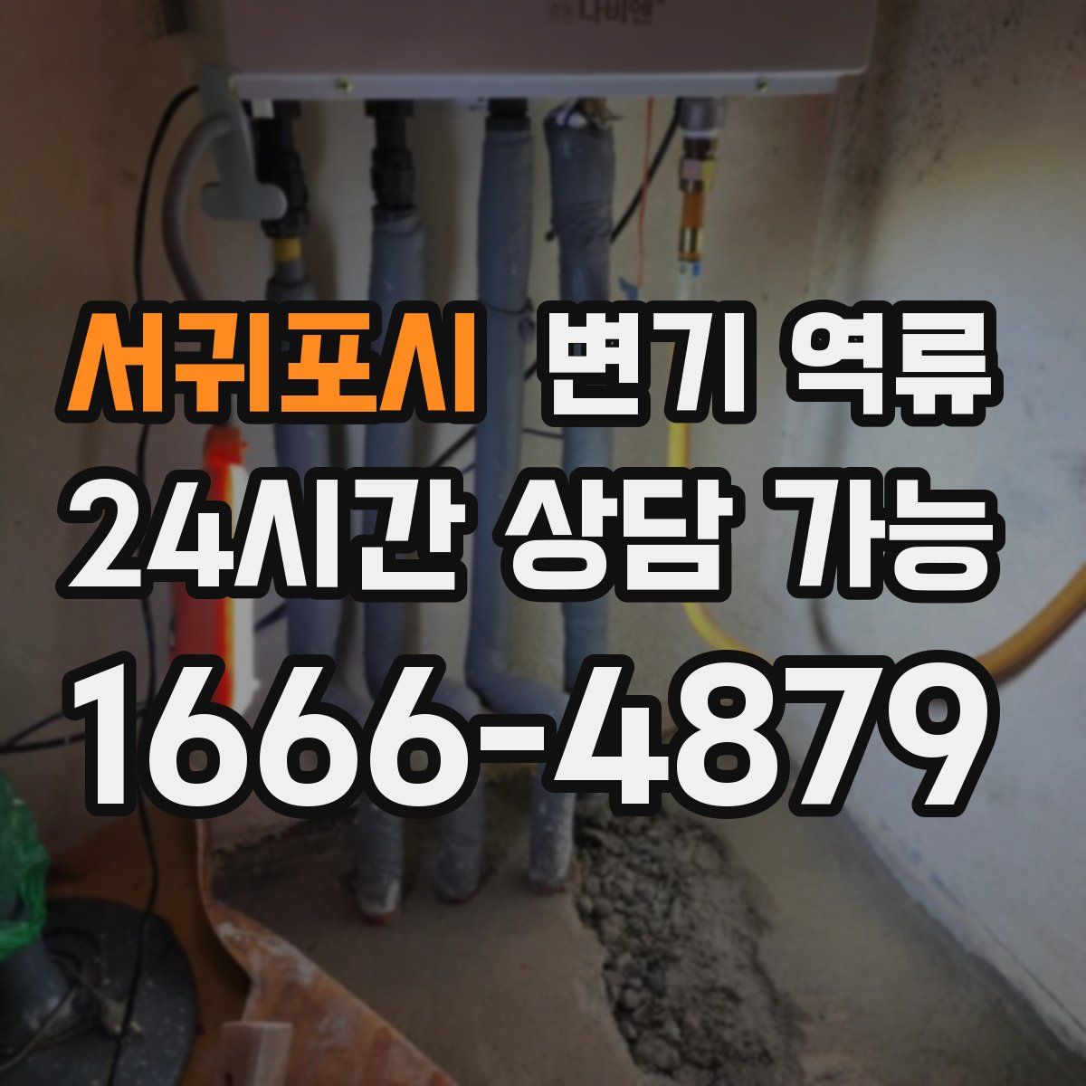 서귀포시 변기 역류