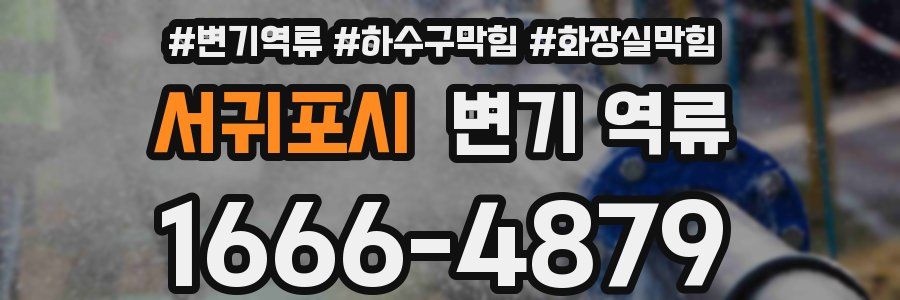 서귀포시 변기 역류