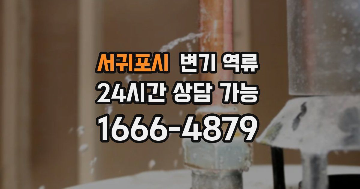 서귀포시 변기 역류