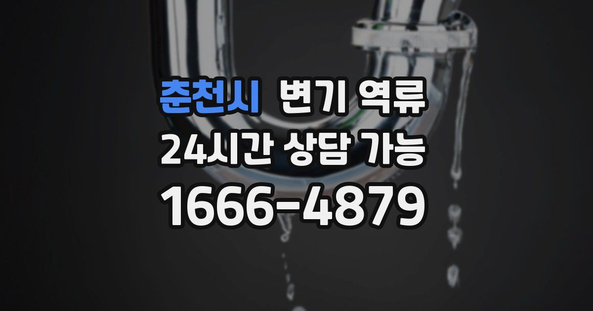 춘천시 변기 역류