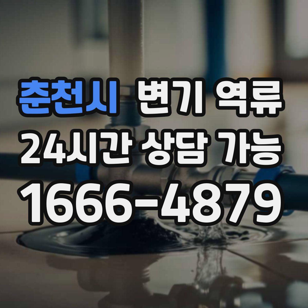 춘천시 변기 역류