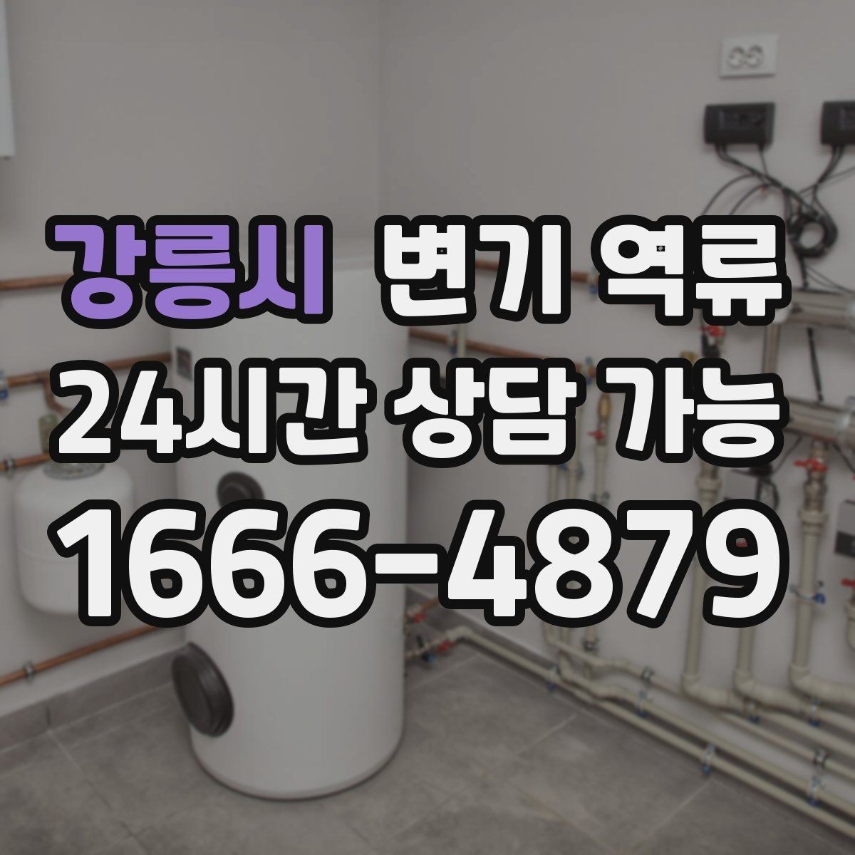강릉시 변기 역류 세면대·샤워기까지 동시에 이상하면 공용 라인 의심