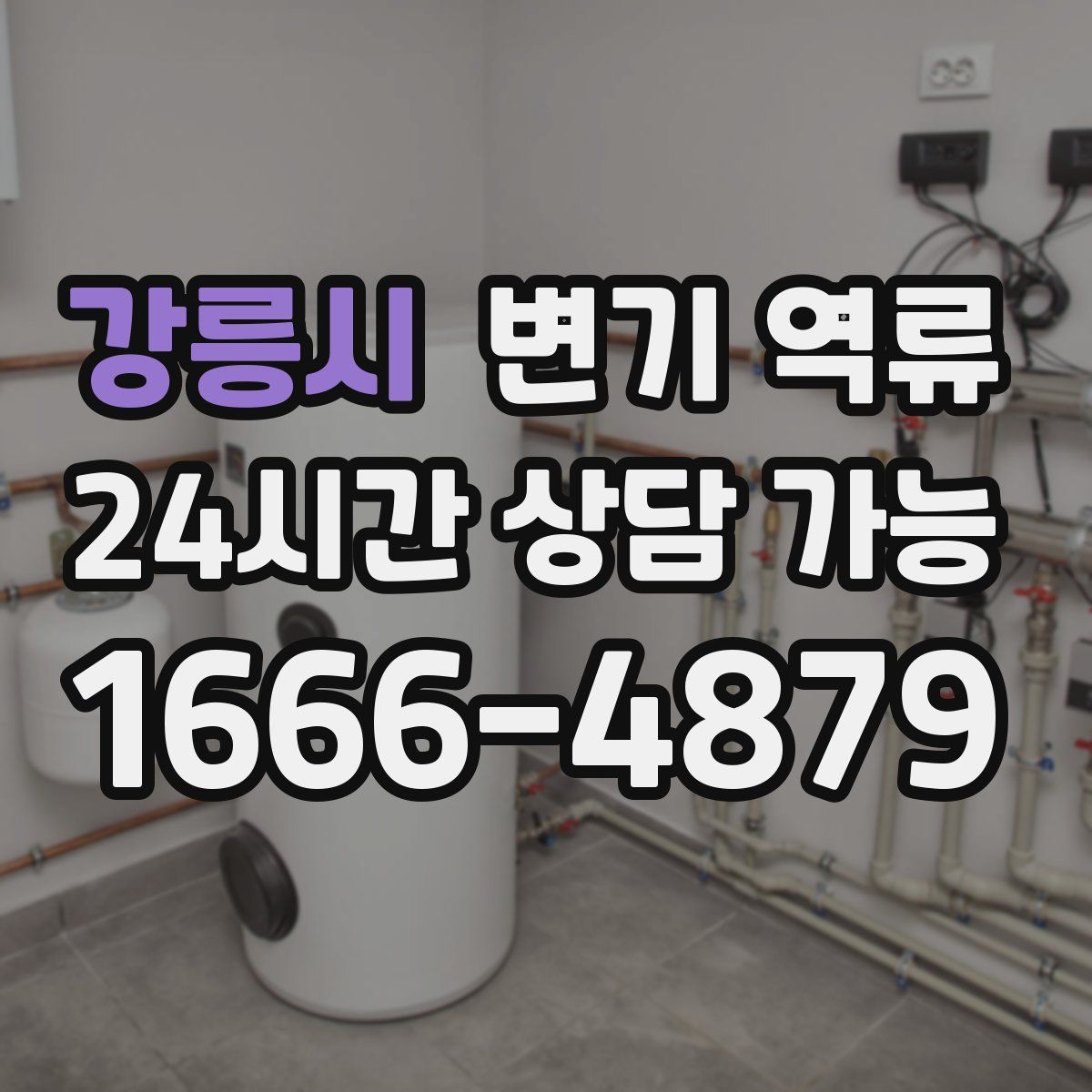 강릉시 변기 역류