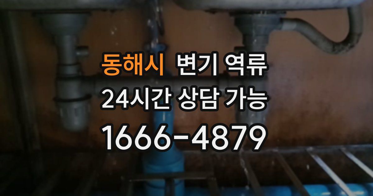 동해시 변기 역류