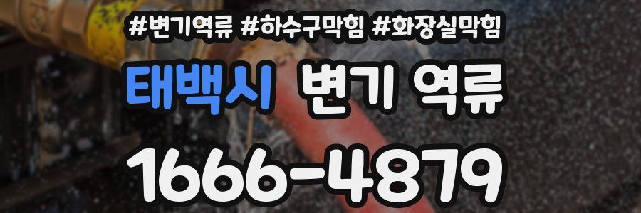 태백시 변기 역류